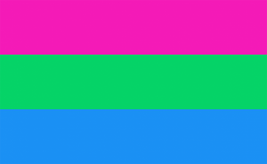 Polysexual Pride 12"x18" Stick Flags Parade Rainbow