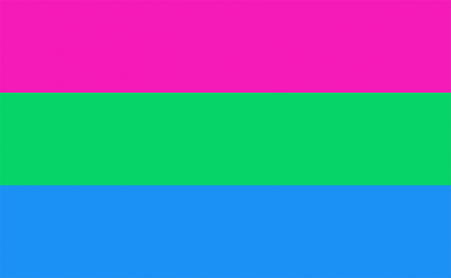 Polysexual Pride 12"x18" Stick Flags Parade Rainbow