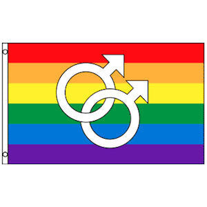 Gay Male Pride 12"x18" Stick Flags Parade Rainbow