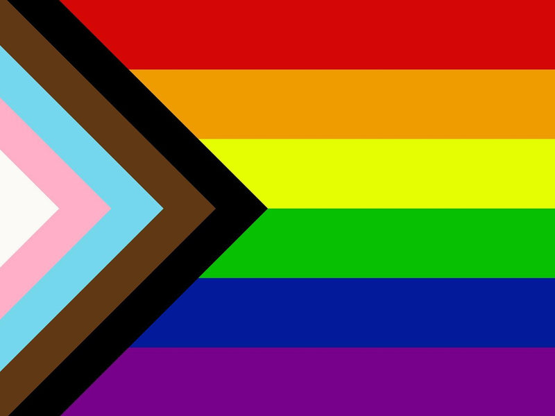 Progressive Pride 12"x18" Stick Flags Parade Rainbow Inclusive