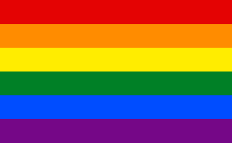Rainbow 12"x18" Stick Flags Pride Parade