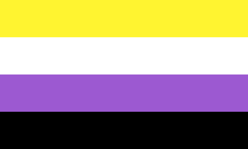 Nonbinary Pride 12"x18" Stick Flags Parade Rainbow Inclusive