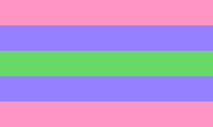 Trigender Pride 12"x18" Stick Flags Parade Rainbow Inclusive