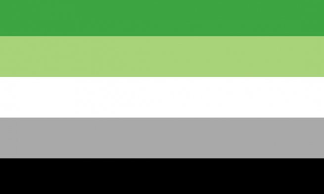 Aromantic Pride 12"x18" Stick Flags Parade Rainbow Inclusive