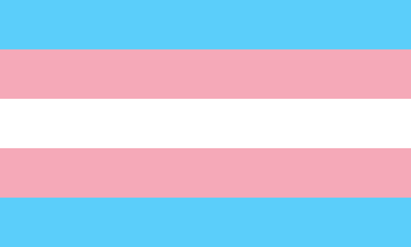 Transgender Rainbow 12"x18" Stick Flags Pride Parade