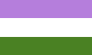 Genderqueer Rainbow 12"x18" Stick Flags Pride Parade