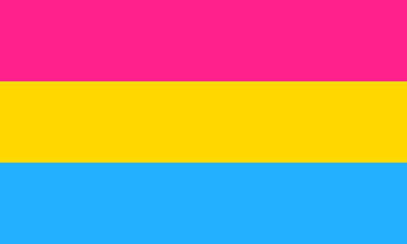 Pansexual Rainbow 12