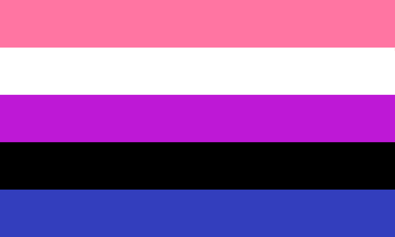 GenderFluid Rainbow 12"x18" Stick Flags Pride Parade