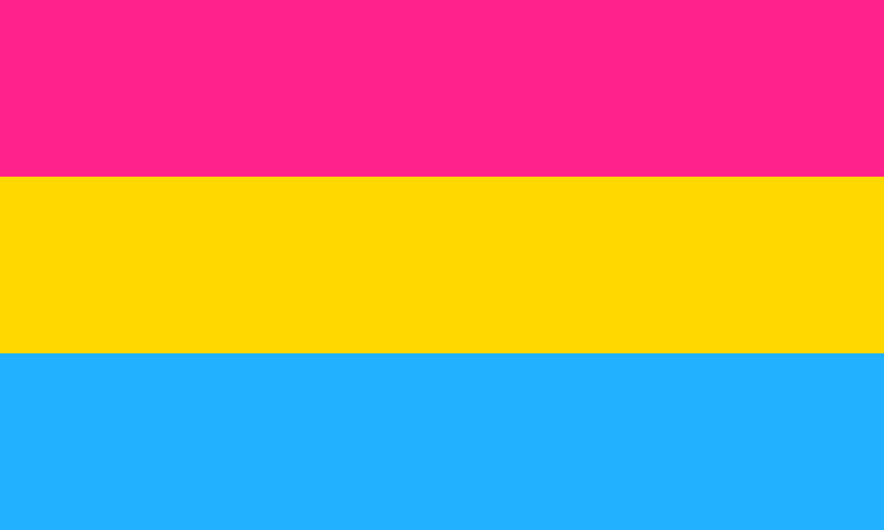 Pansexual 3'X5' Flag Rough Tex® Polyester