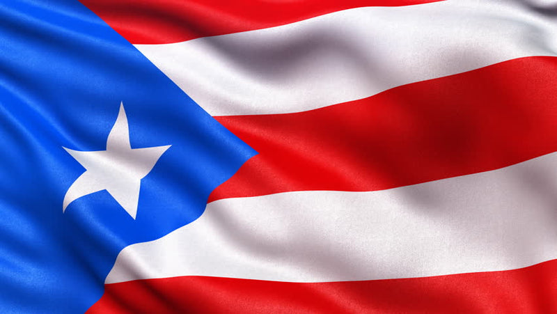 Puerto Rico Embroidered 2'X3' Flag Rough Tex® 150D