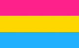 Pansexual 3'X5' Flag Rough Tex ® 100D