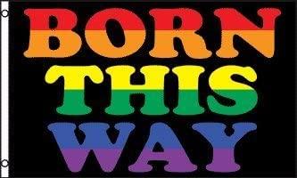 Born This Way 3'X5' Flag Rough Tex® 68D Nylon