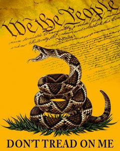 Gadsden We The People Double Sided Flag Rough Tex ® 3'x5' 100D