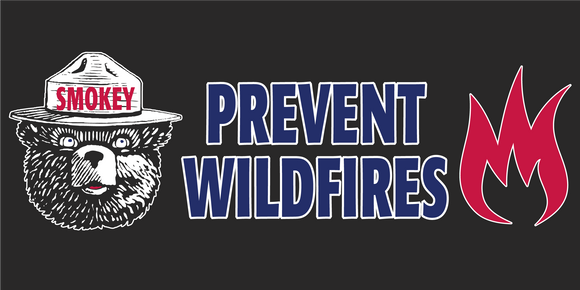 Smokey Bear Prevent Wildfires  - Bumper Sticker