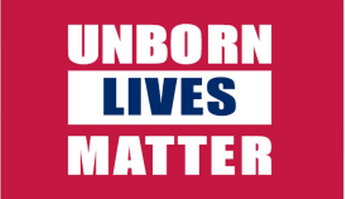 Unborn Lives Matter Red 3'X5' Flag ROUGH TEX® 68D Nylon