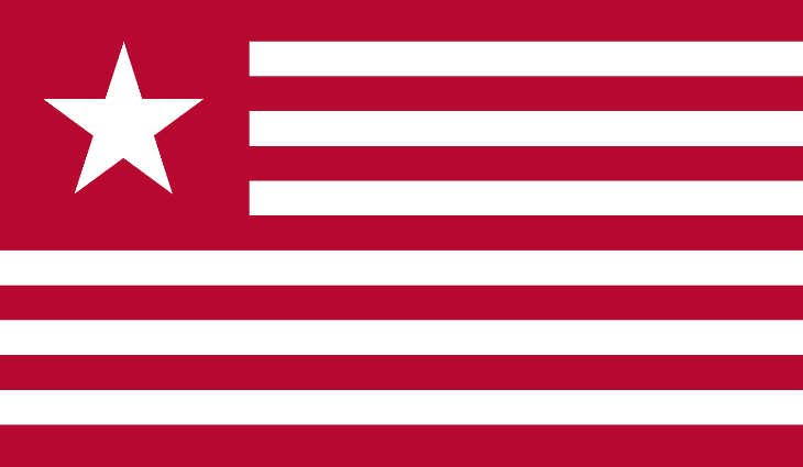 James Long 2nd Texas 1821 3'X5' Flag Rough Tex® 68D Nylon