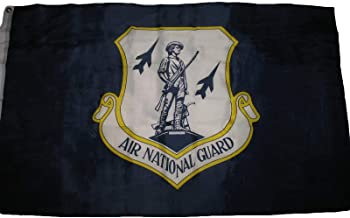 Air National Guard 3'X5' Flag ROUGH TEX® 100D