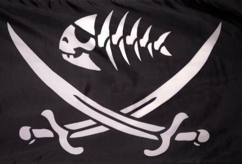 Fish Bones Pirate 12''X18'' Flag With Grommets Rough Tex® 100D