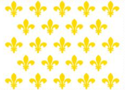 Kingdom Of France Fleur De Lis 2'x3' Flag ROUGH TEX® 100D