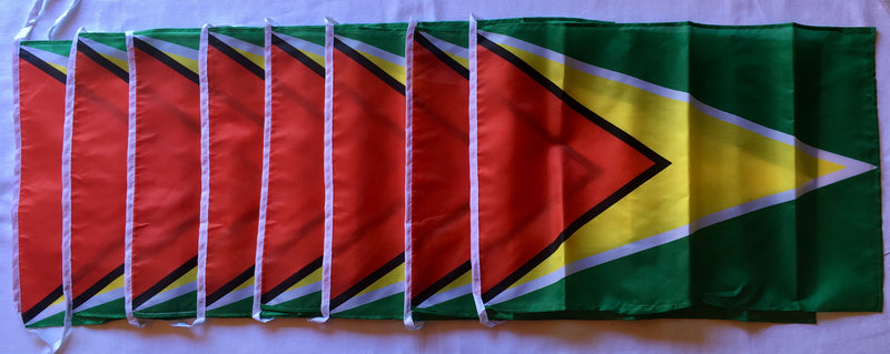 Guyana 12' Foot Long Bunting String Flag - Rough Tex ®100D