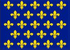 Kingdom Of France VII-VIII 12''X18'' Flag With Grommets Rough Tex® 100D