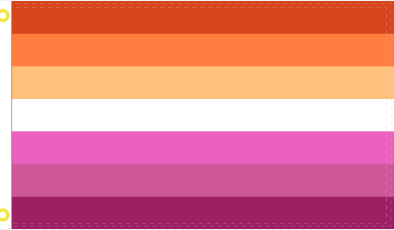 Lesbian Sunset 2'x3' Flag ROUGH TEX® 100D