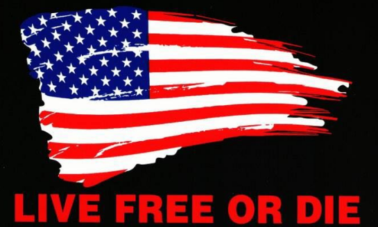 Live Free Or Die 3'X5' Flag ROUGH TEX® 100D