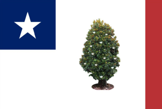 Mississippi Republic II 3'X5' Flag ROUGH TEX® 100D