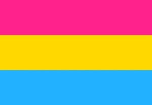 Pansexual Flag -3'x5' Rough Tex® 100D