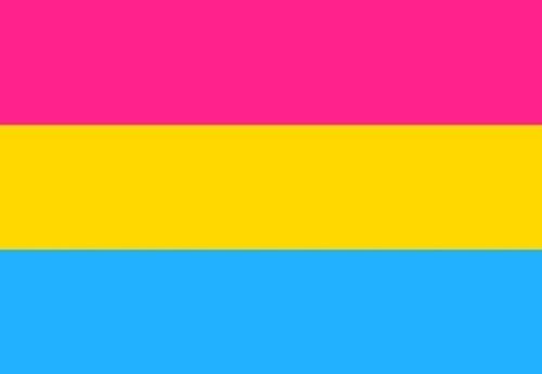 Pansexual Flag -3'x5' Rough Tex® 100D