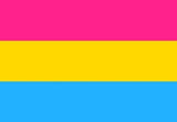 Pansexual Flag -3'x5' Rough Tex® 100D