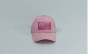 Pink USA Cap