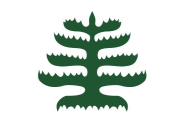 Pine Tree (MASS ENSIGN) 3'X5' Flag ROUGH TEX® 100D