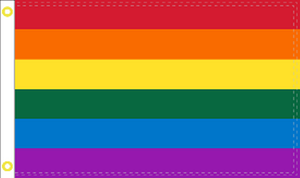 Rainbow 5'X8' Flag Rough Tex® 68D