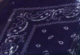 Assorted Bandana Paisley Head Wrap In Various Colors 100% Cotton 22"X22"