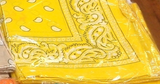 Assorted Bandana Paisley Head Wrap In Various Colors 100% Cotton 22"X22"