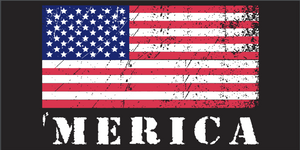 'Merica - Bumper Sticker