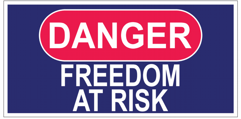 Danger Freedom At Risk - Bumper Sticker