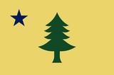 Maine 1900 2'X3' Flag Rough Tex® 100D