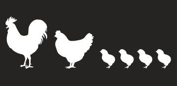 Chicken Family Bumper Sticker