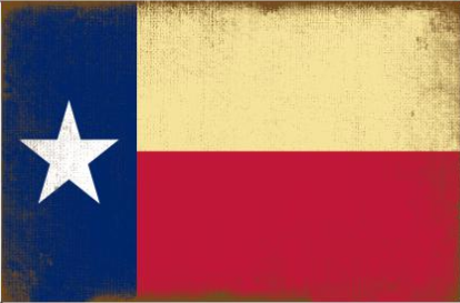 Tea Stained Texas 3'X5' Flag ROUGH TEX® 100D