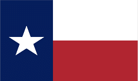 Texas 12"X18" Car Flag Rough Tex® DBL Sided