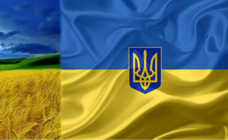 Ukrainian Wavy Banner Trident 3'X5' Flag Rough Tex® 100D Heritage Ukraine Tryzub