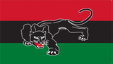 Black Afro American Panther 3'X5' Flag Rough Tex® 100D