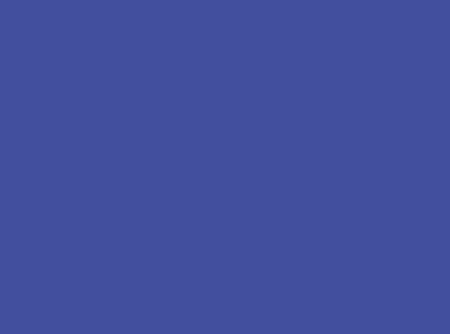 Royal Blue 3'X5' Flag Rough Tex® 68D Nylon