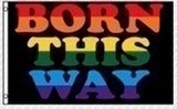 Born This Way 3'X5' Flag Rough Tex® 68D Nylon