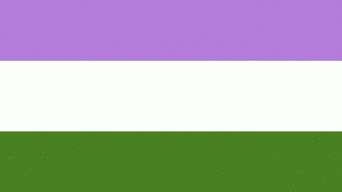Gender Queer 3'X5' Flag Rough Tex ® 100D