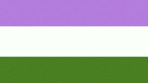 Gender Queer Flag with Grommets 12'X18' Rough Tex® 100D