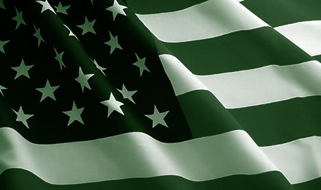 Green & White USA 3'X5' Flag Rough Tex® 100D