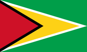 Guyana 3'X5' Flag ROUGH TEX® 100D